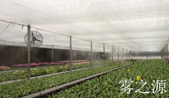 温室大棚喷淋设备大棚喷淋加湿系统